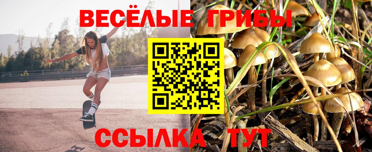 Псилоцибиновые грибы мухоморы Малгобек