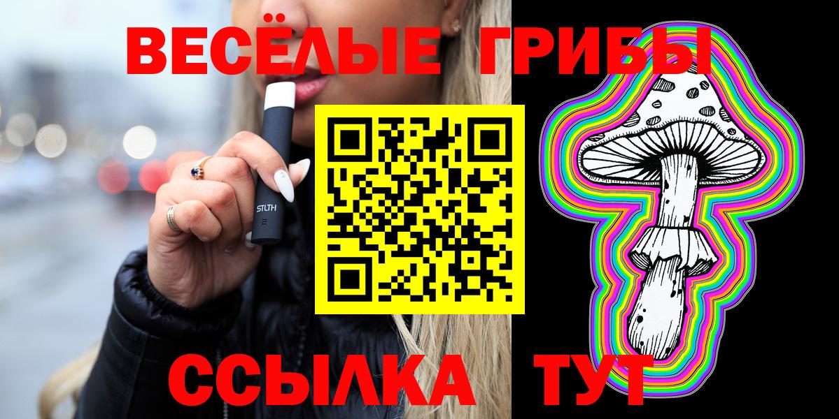Малгобек  Псилоцибиновые грибы GOLDEN TEACHER  Вход с VPN 
